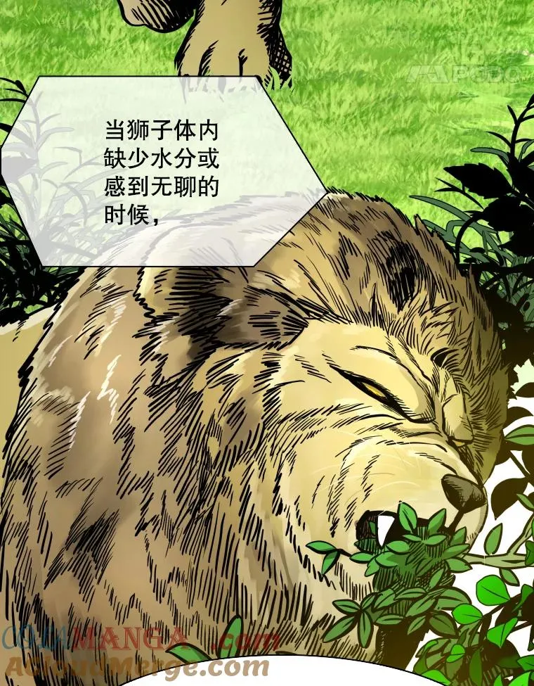 331.寻找合适人选40