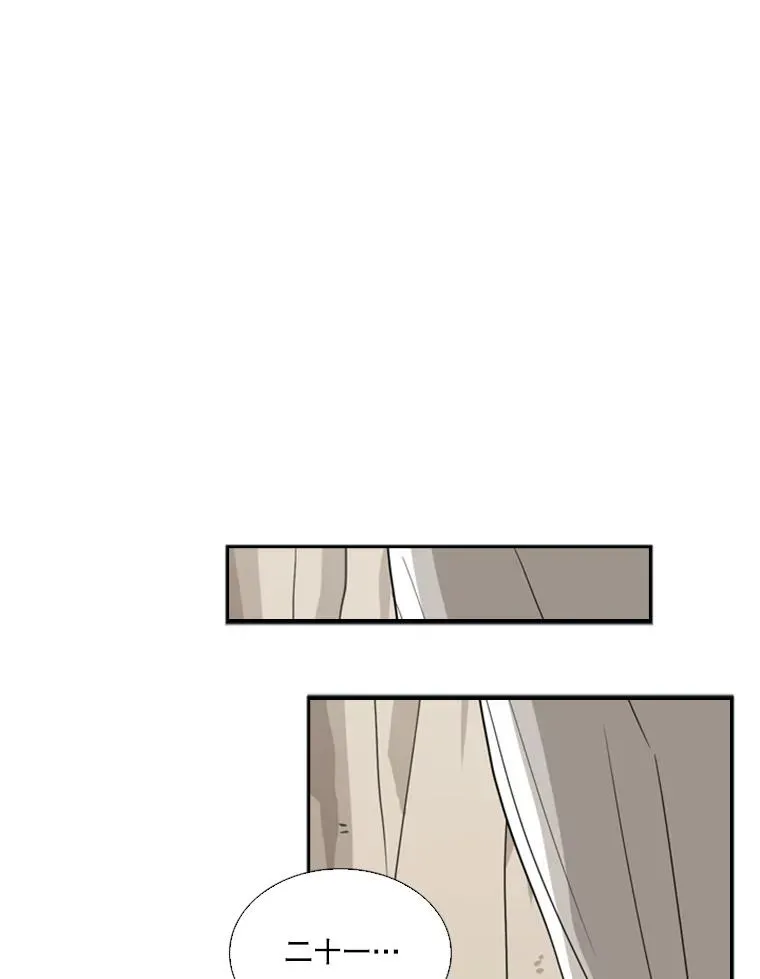 46.相似29
