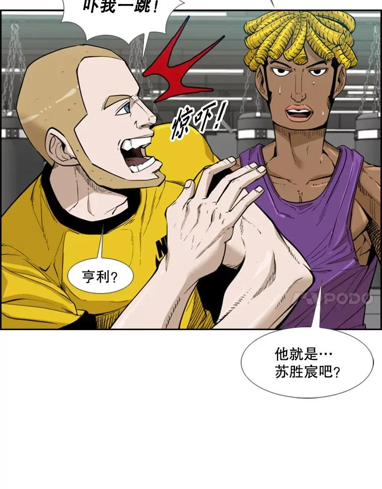 230.亨利·佩西翁113
