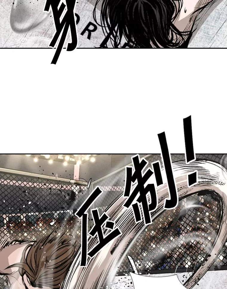 152.柔术对抗泰拳83