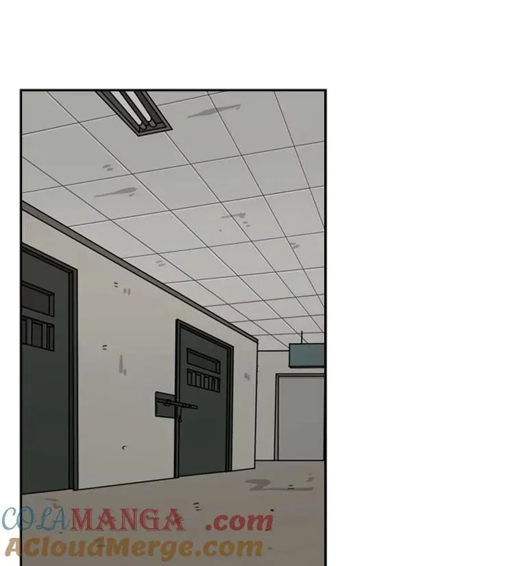 55.和平协议12