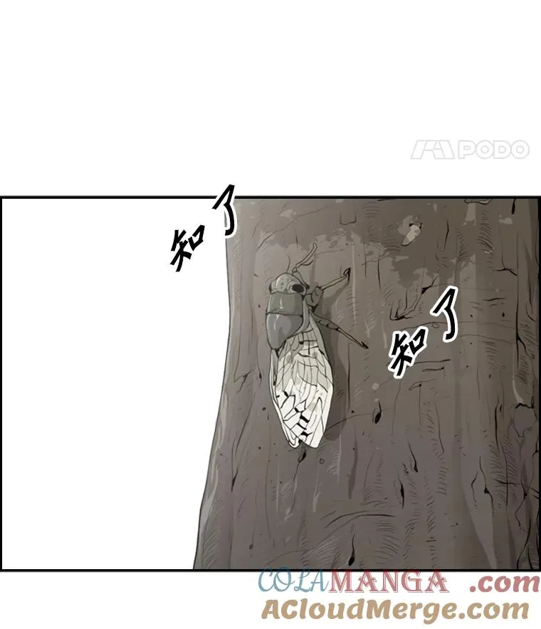 14.锻炼88