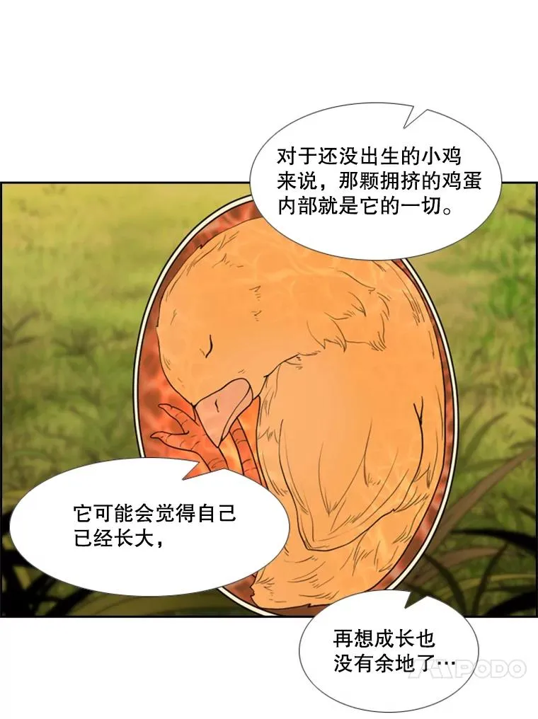 200.恭喜你破壳而出30