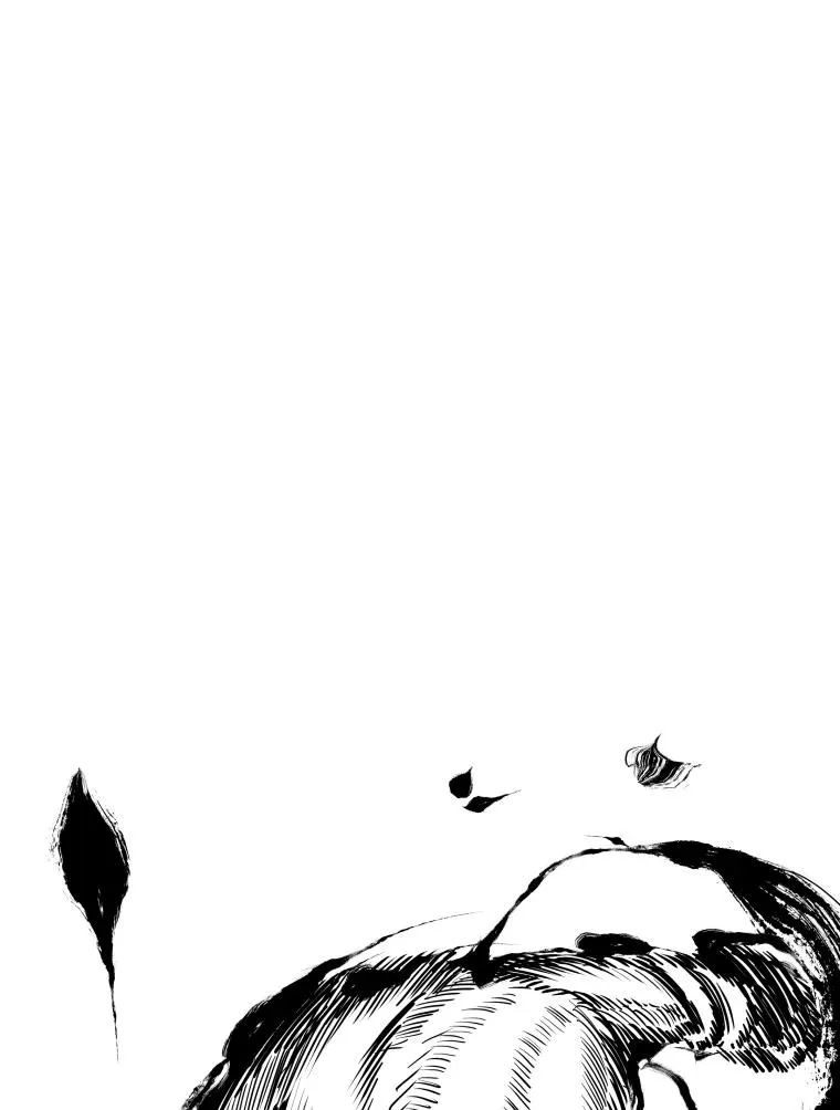 308.巴西利的胜利113