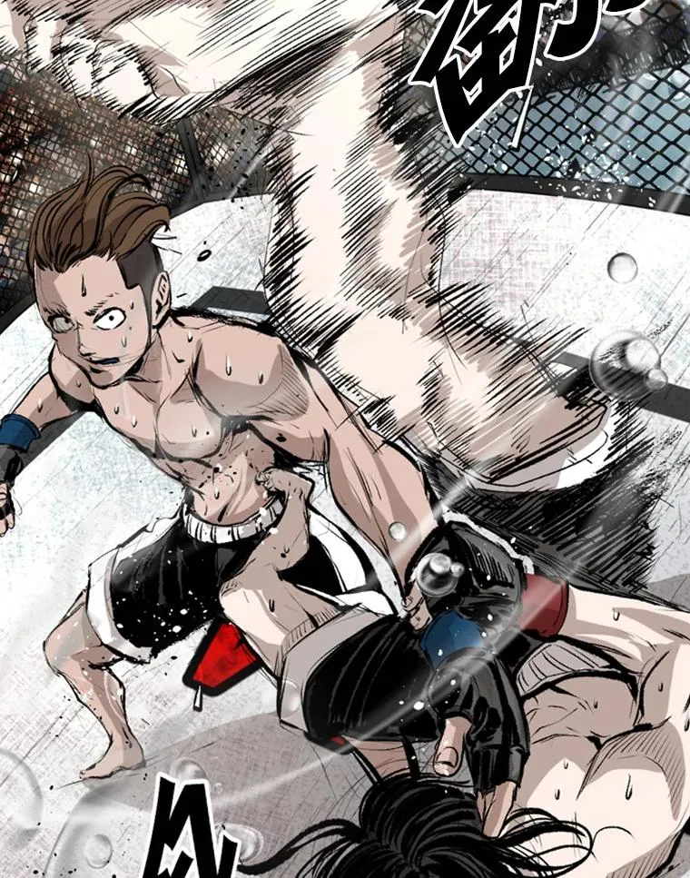 152.柔术对抗泰拳82
