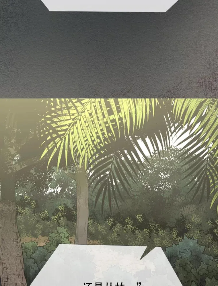 186.新纪录34