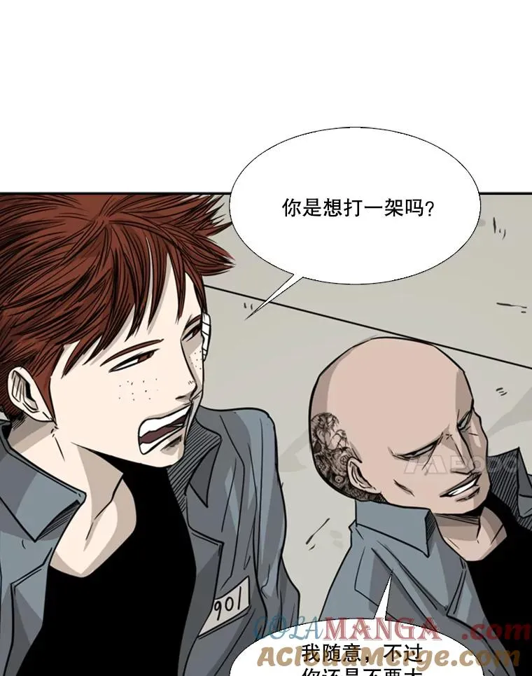 55.和平协议36