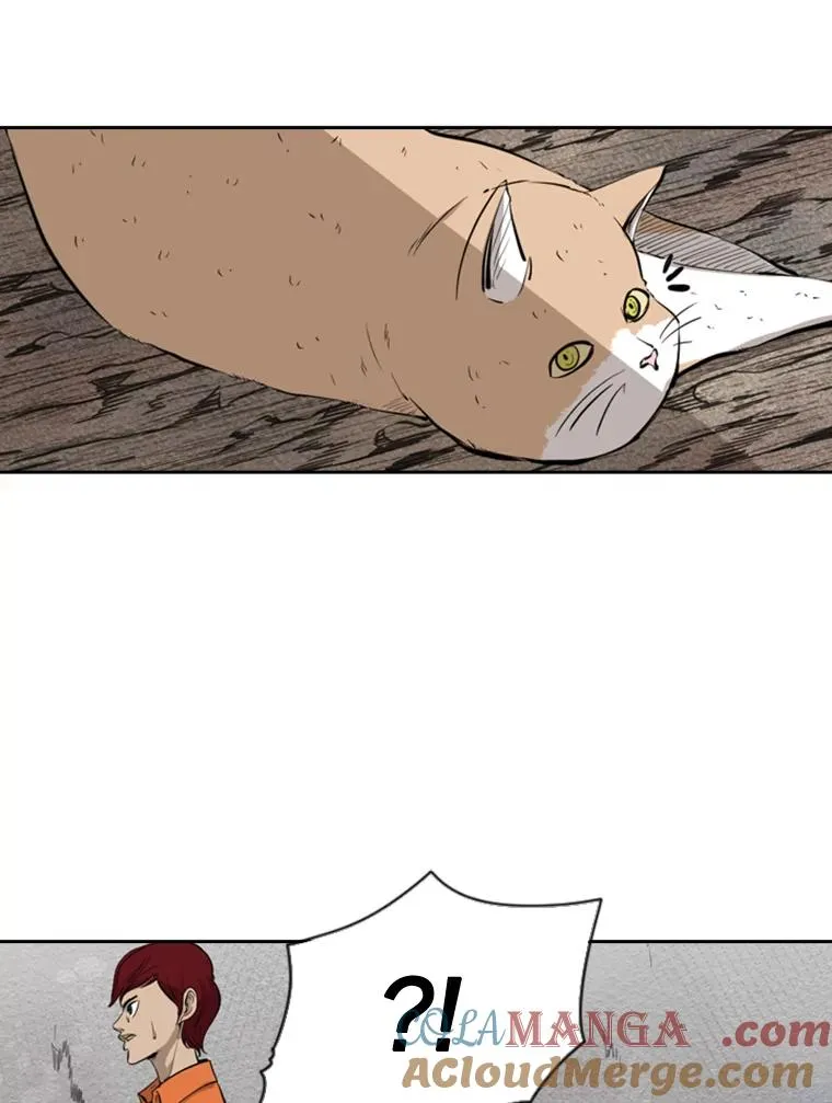 124.外传3.那只猫想让你自由56
