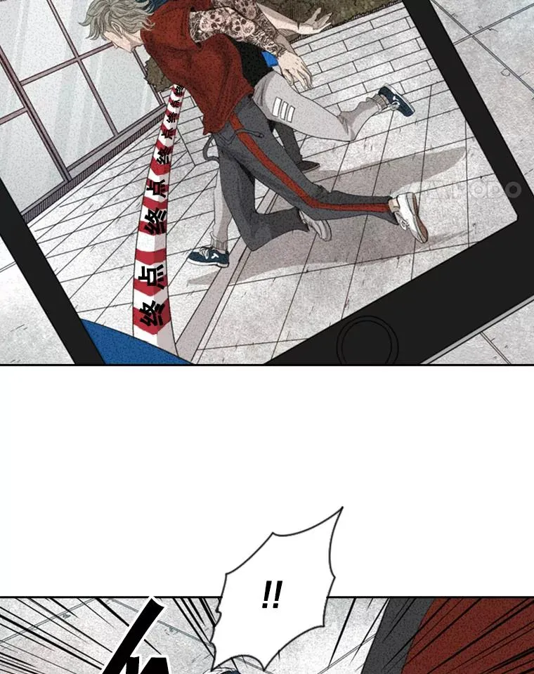 132.第1轮预赛43