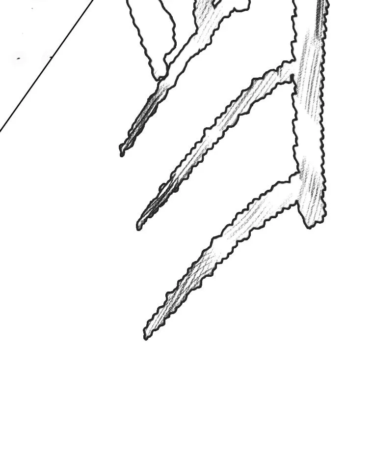 251.风云突变115