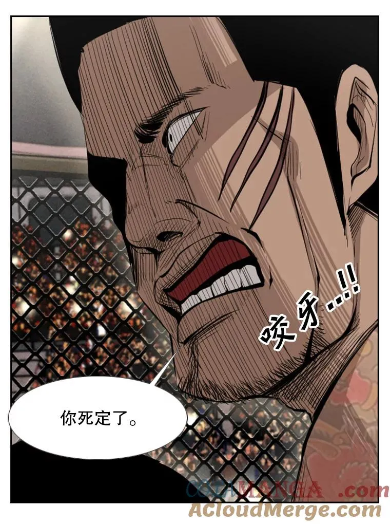 153.女王马蜂76