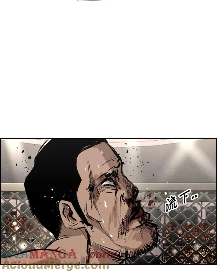 153.女王马蜂100