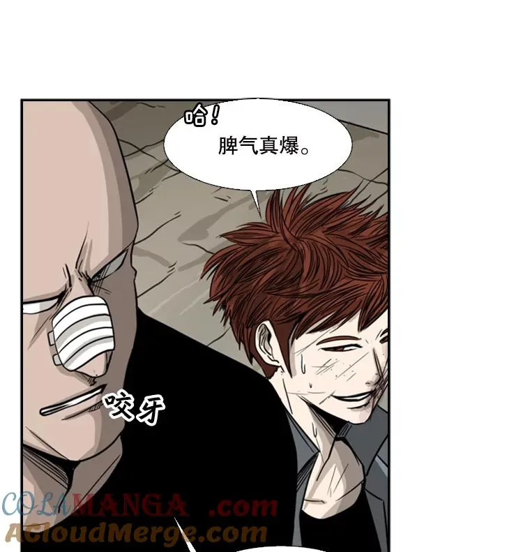 51.不死鸟40