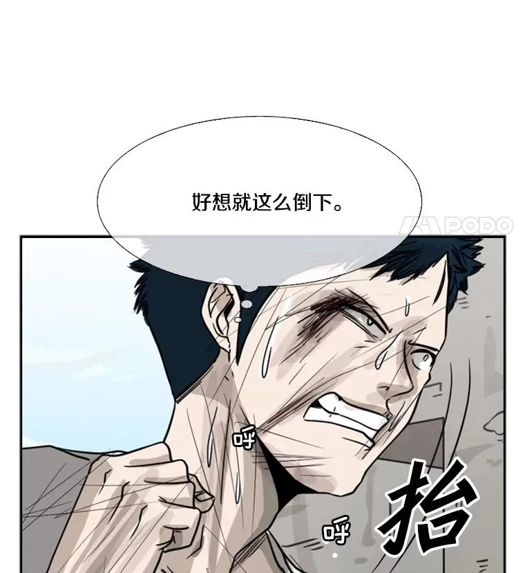 51.不死鸟81