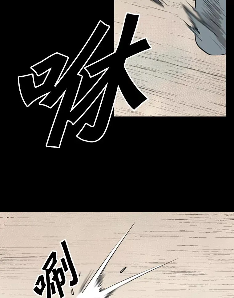 117.最后一击21