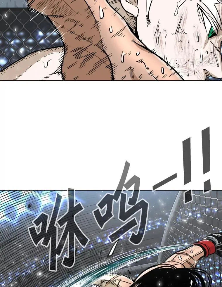 255.反转86