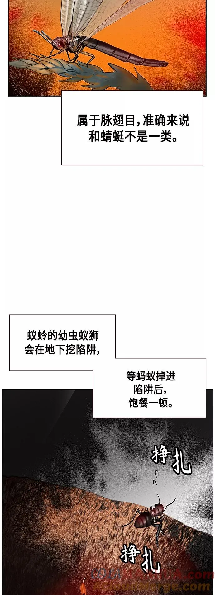 第41话48