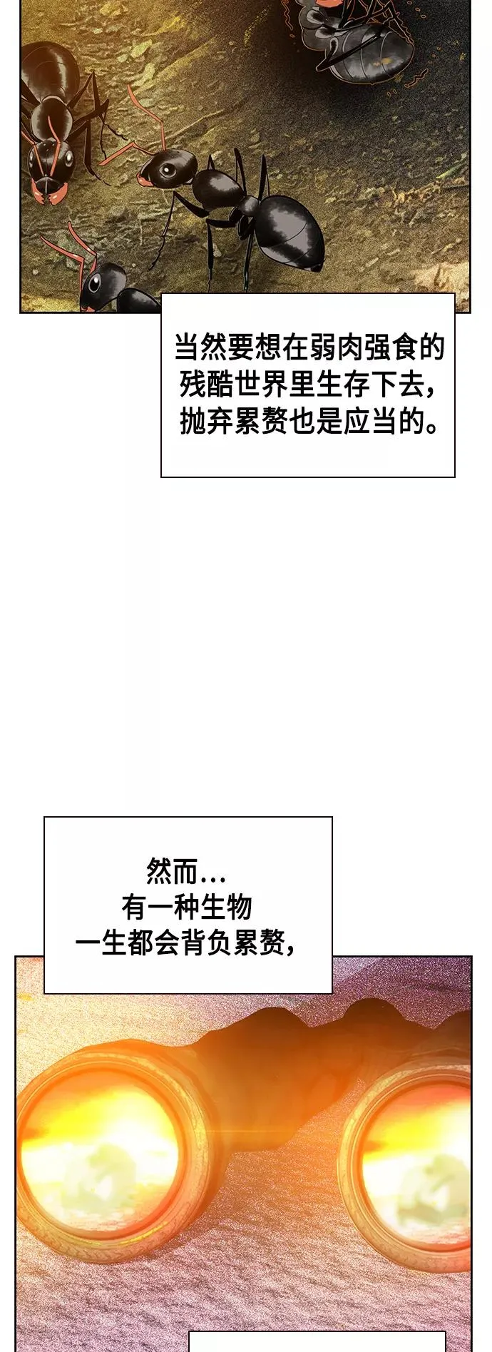 第46话31