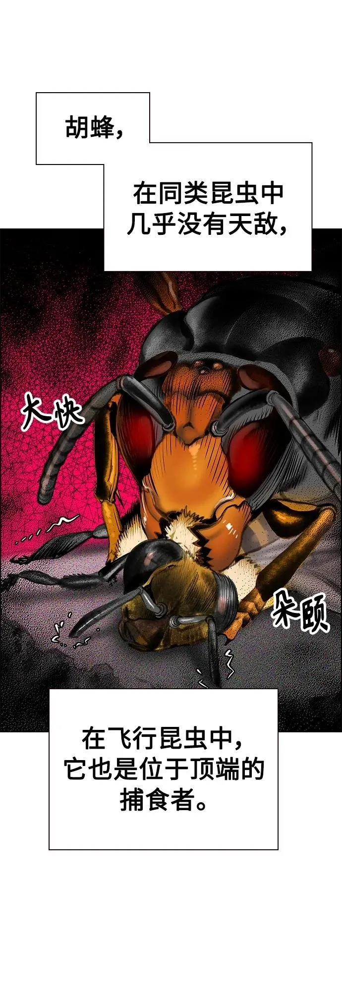 第2季 第12话107