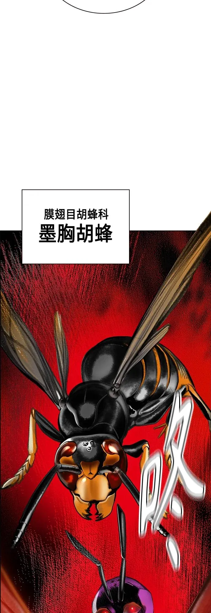 第2季 第12话17