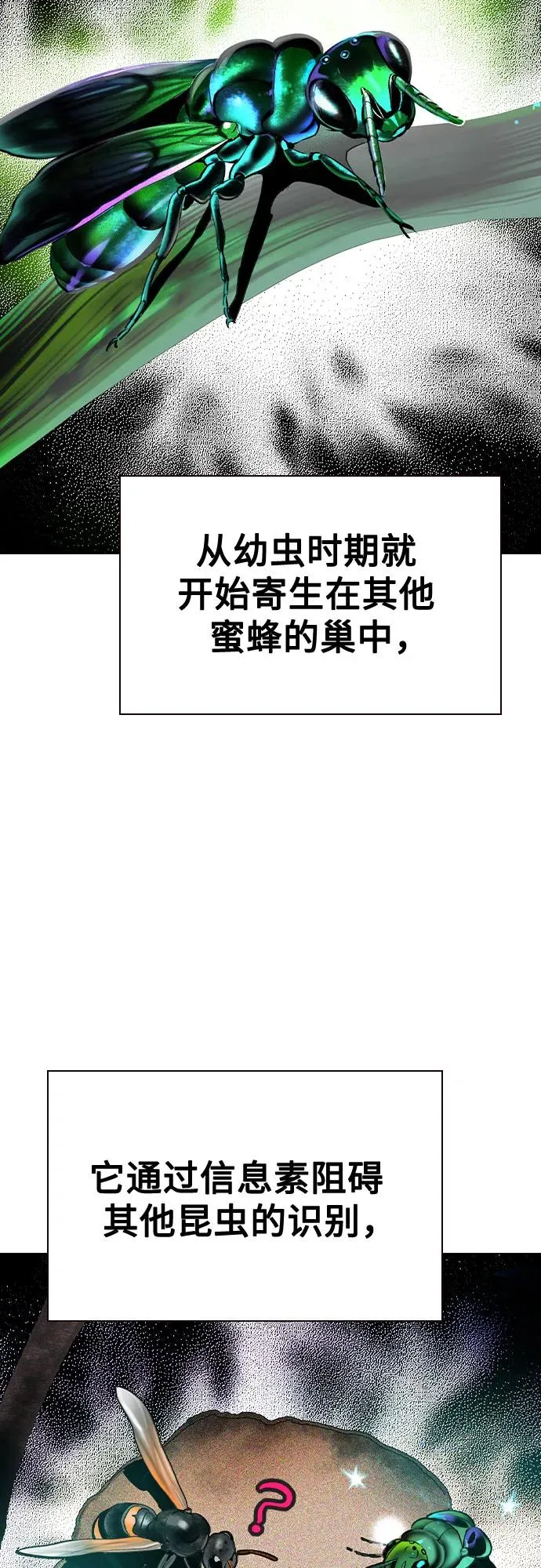 第2季 第40话47