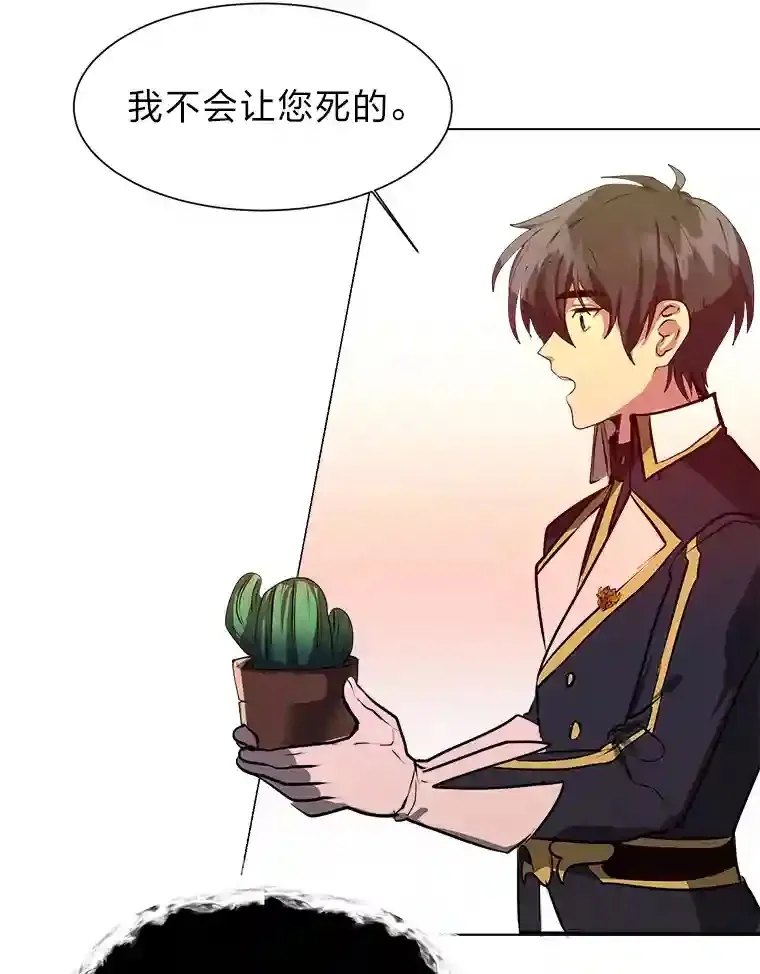 24.仙人掌阿胡尔45