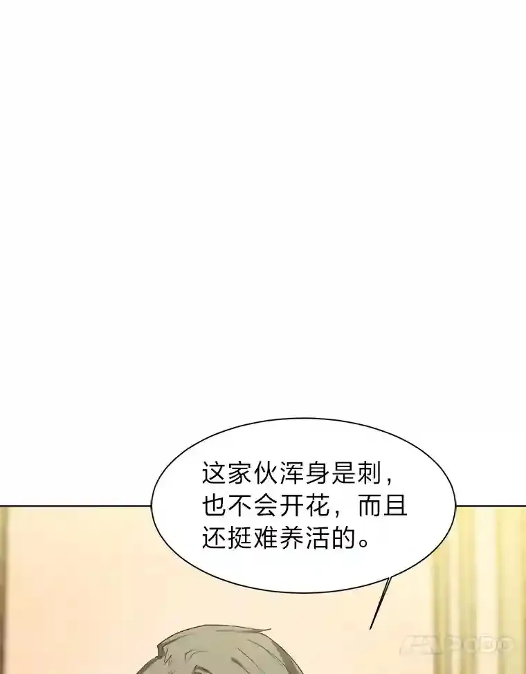 24.仙人掌阿胡尔36
