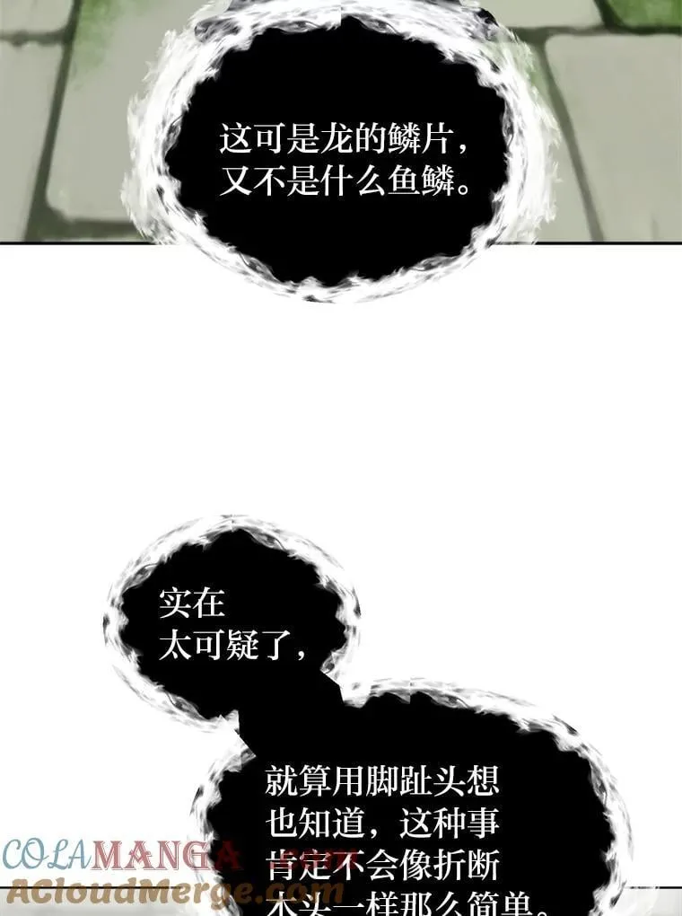 103.黄龙鳞片63
