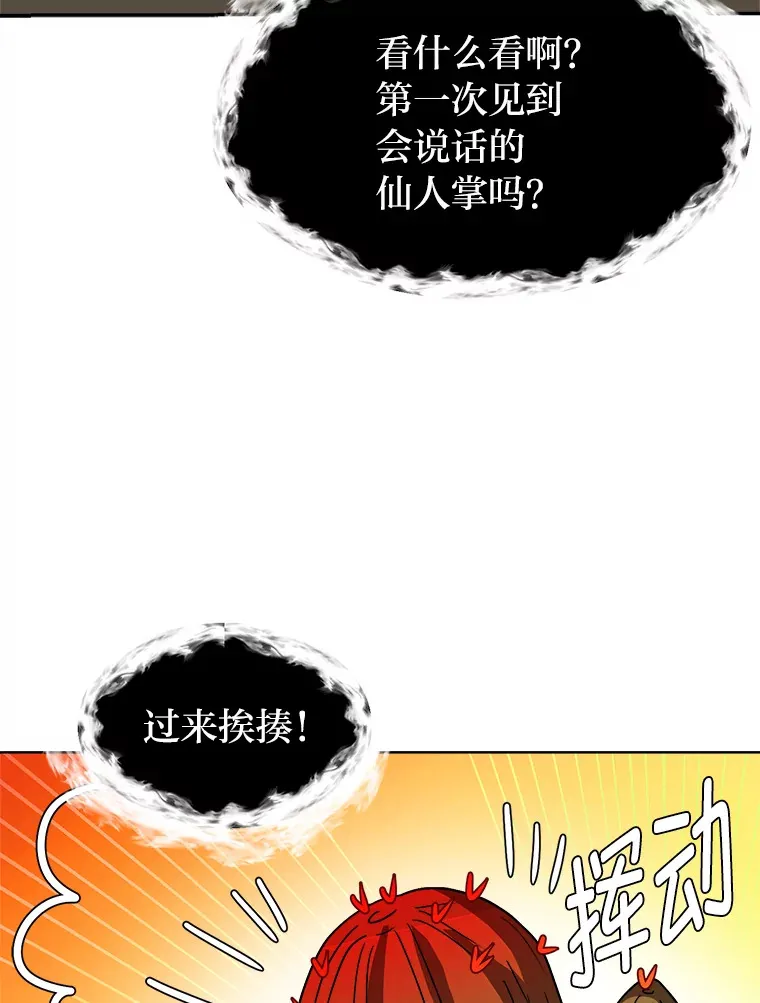 62.巨人仙人掌34