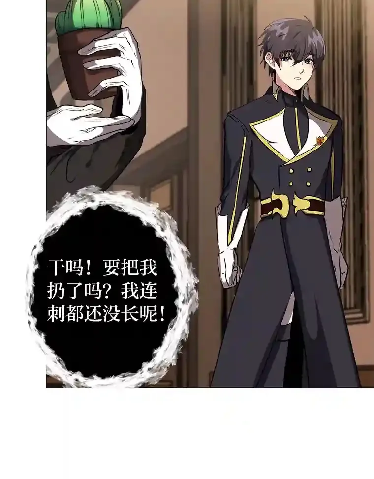 24.仙人掌阿胡尔32