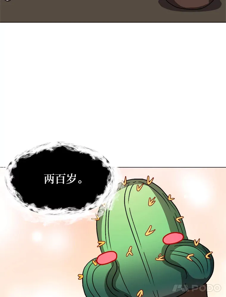 62.巨人仙人掌49