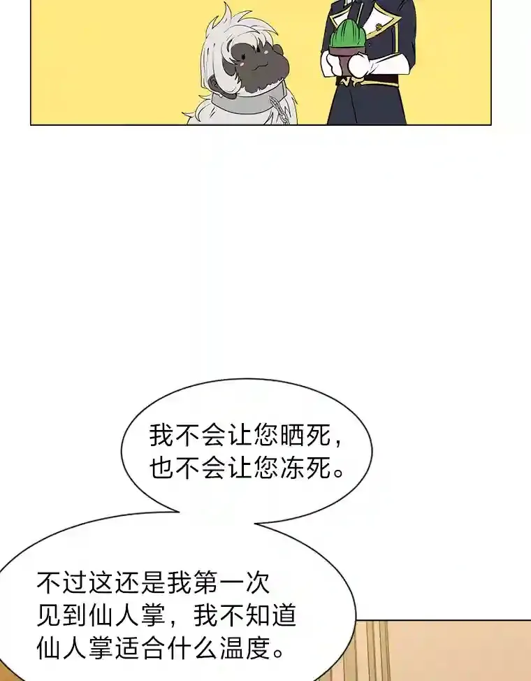 24.仙人掌阿胡尔47