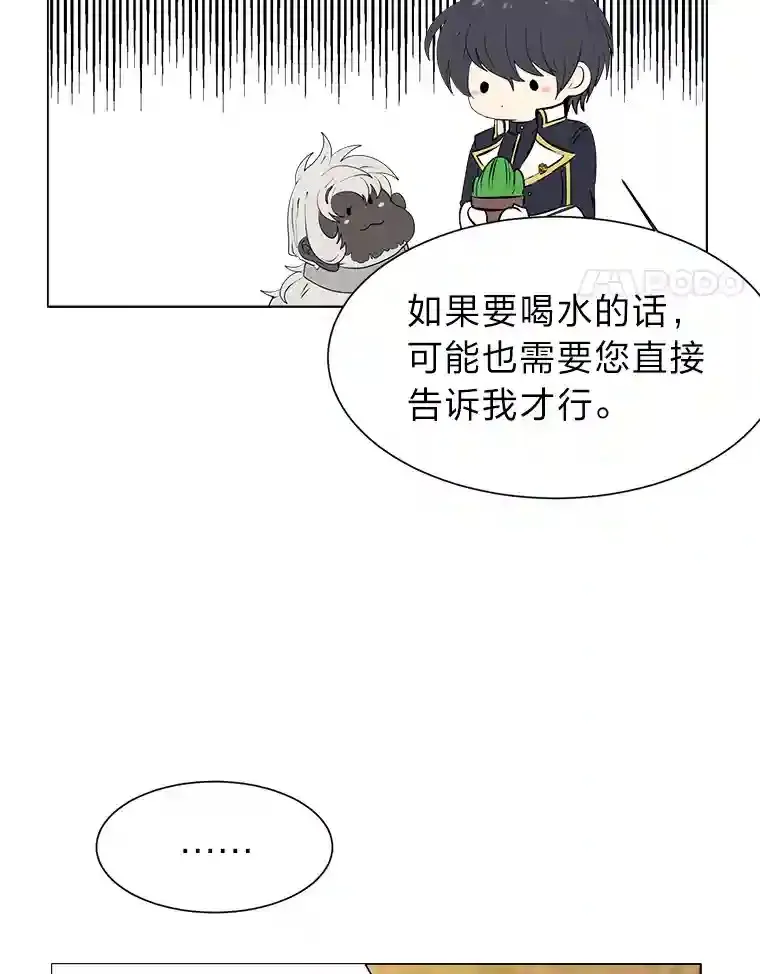 24.仙人掌阿胡尔50