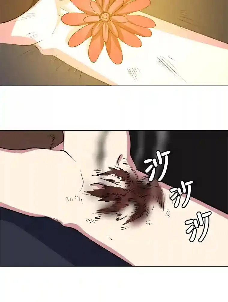 30.阿胡尔的花74