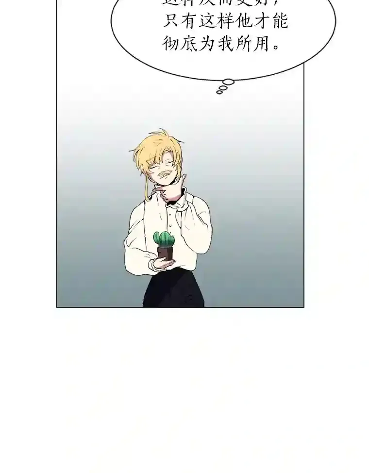 24.仙人掌阿胡尔24