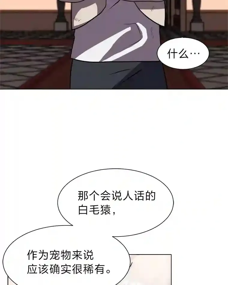 24.仙人掌阿胡尔81