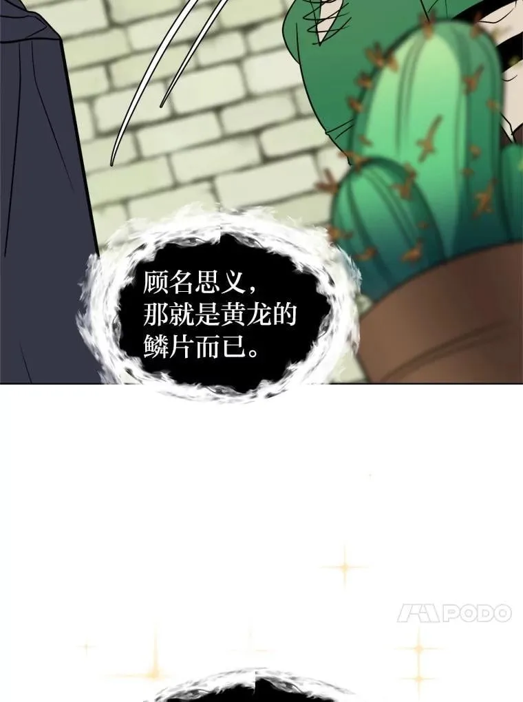 103.黄龙鳞片38