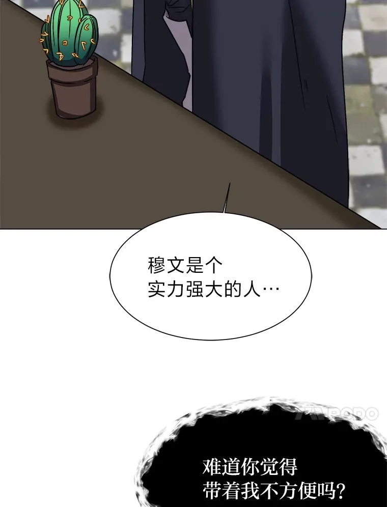 62.巨人仙人掌71