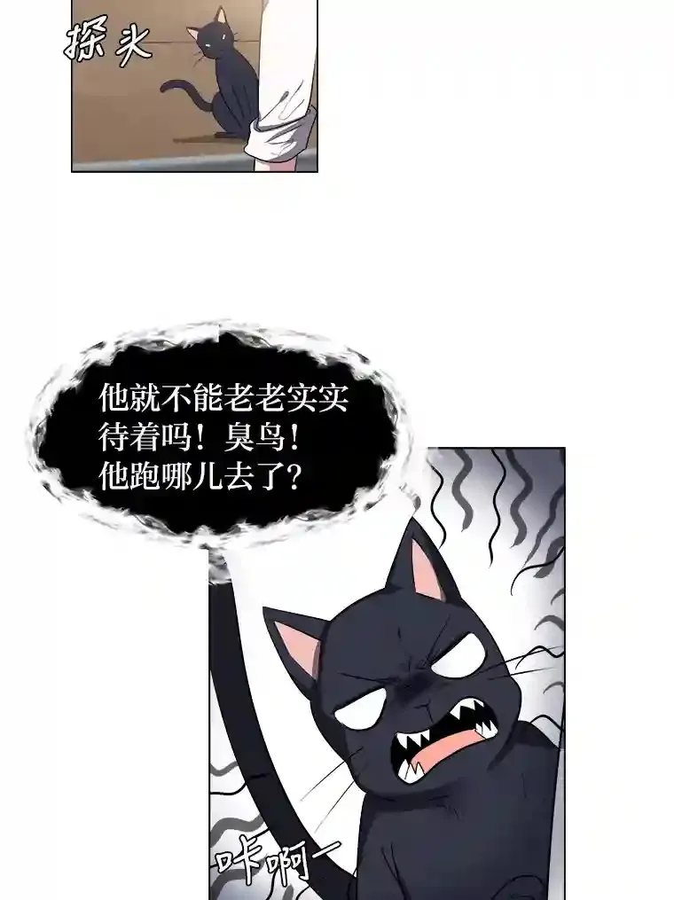 37.地下瀑布46