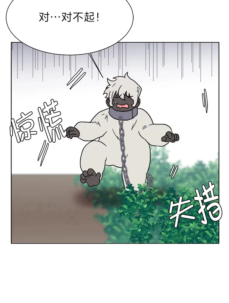 61.植物园91
