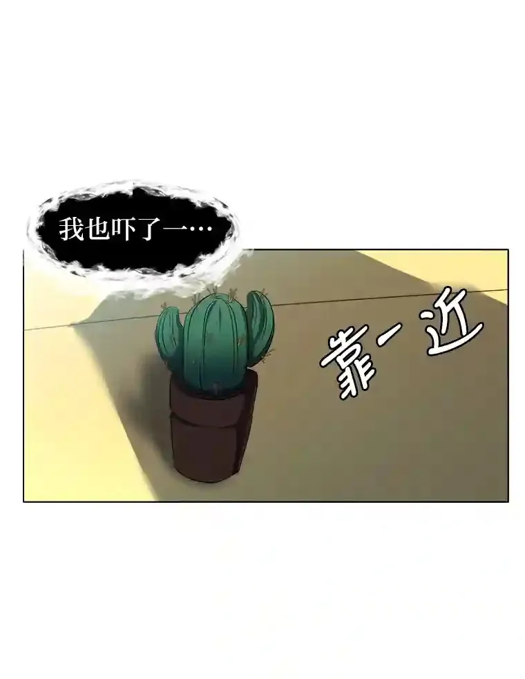 30.阿胡尔的花24