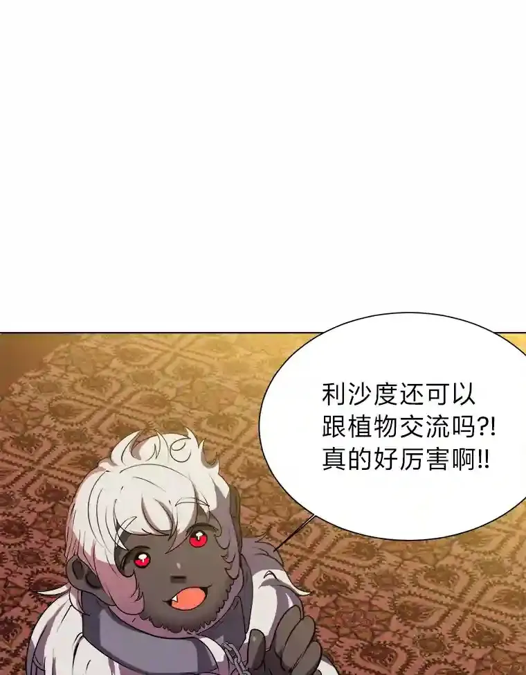 24.仙人掌阿胡尔55