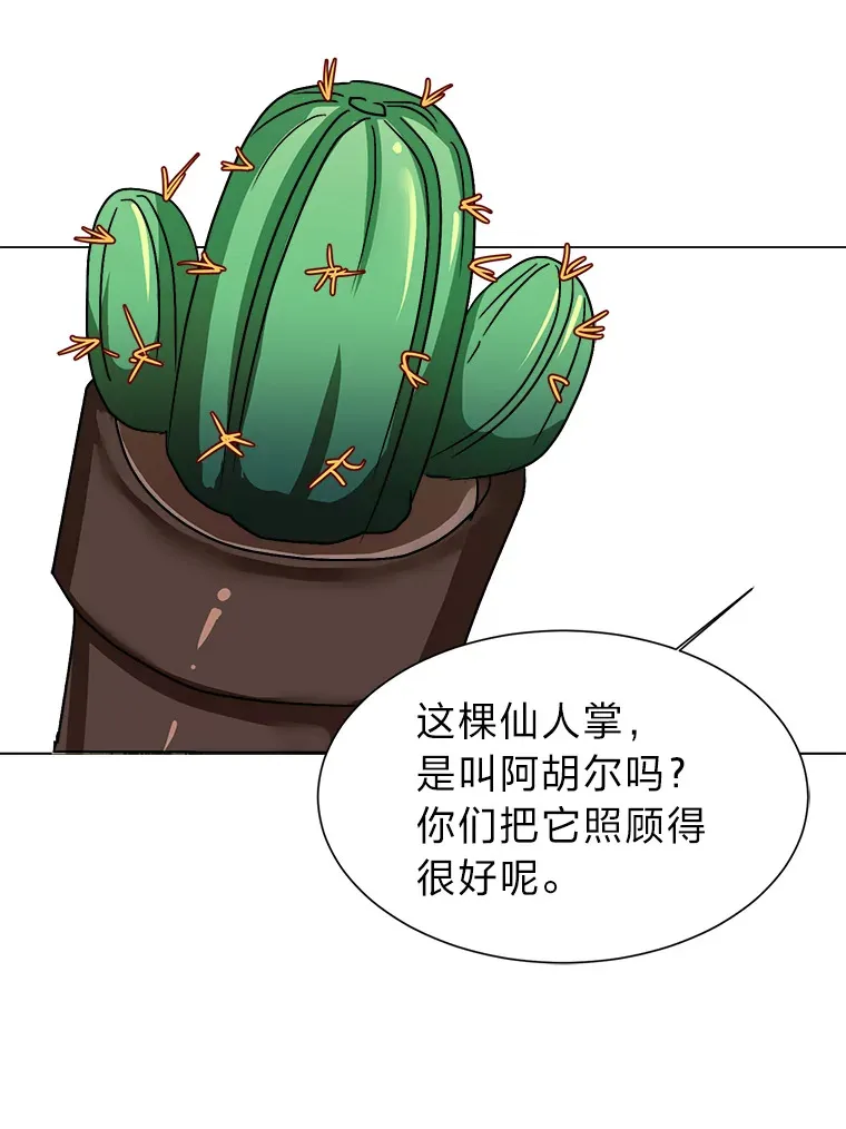 62.巨人仙人掌21