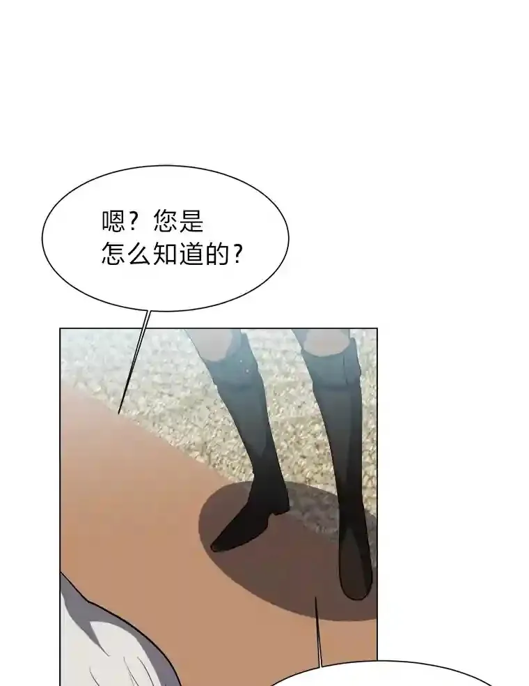 32.公会副会长52