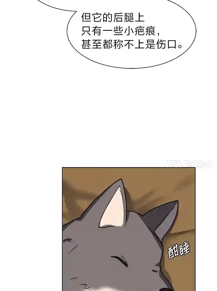 44.新同伴79