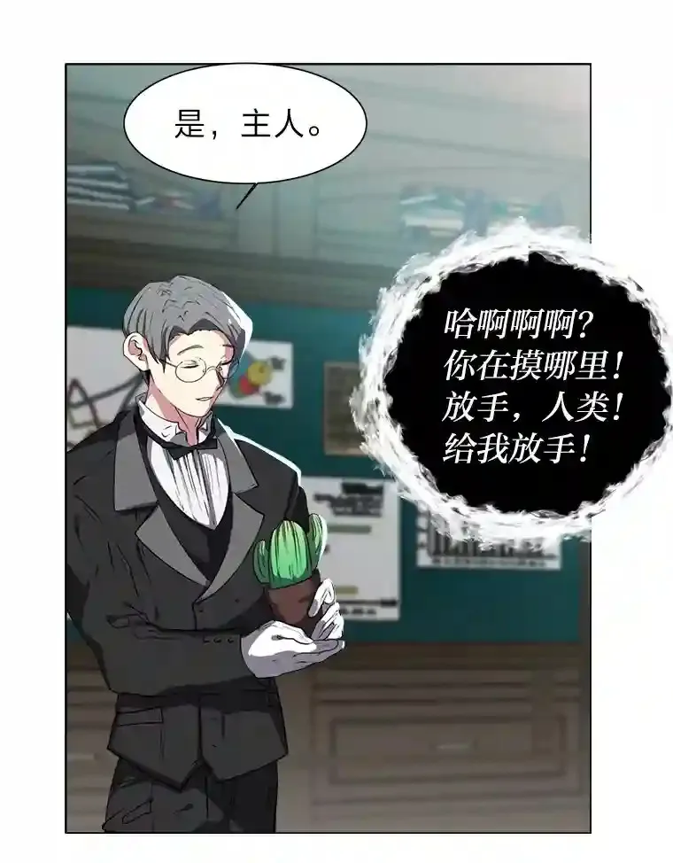 24.仙人掌阿胡尔28