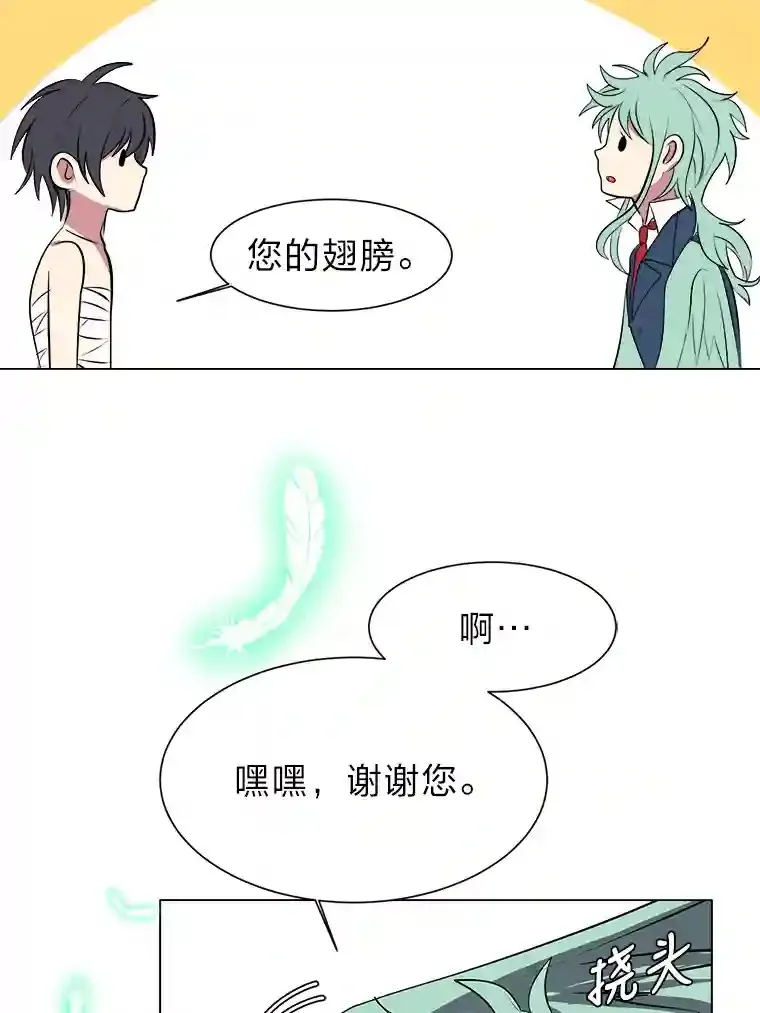 30.阿胡尔的花38