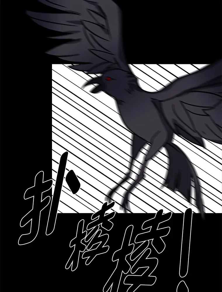 55.捡来的宝物11