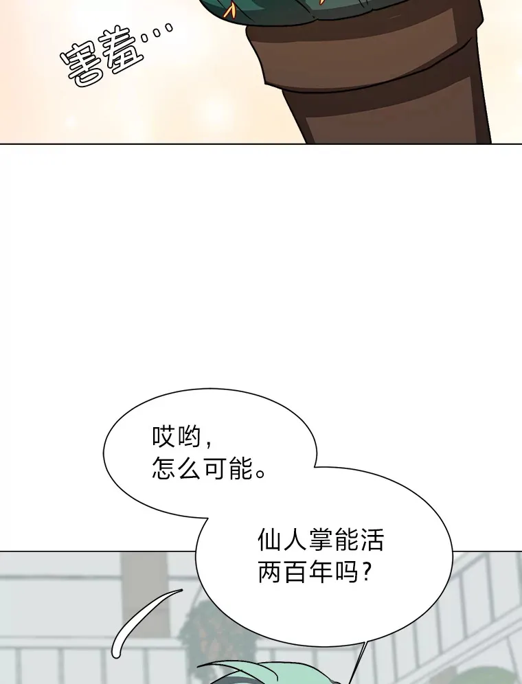 62.巨人仙人掌50