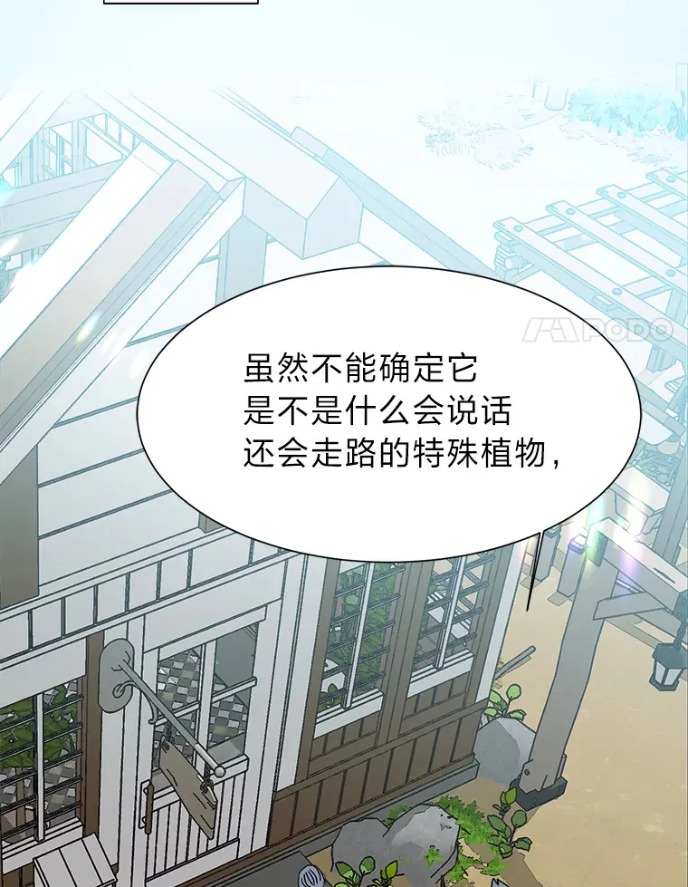 62.巨人仙人掌78